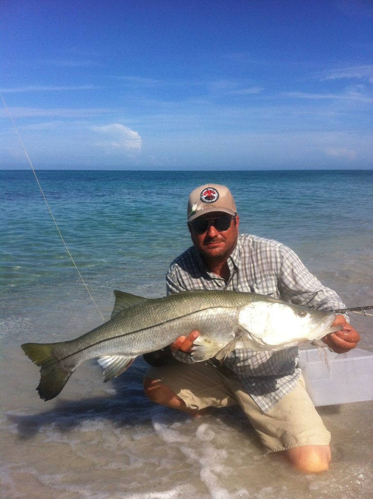 Discover the Thrills of Inshore Fishing in Sarasota