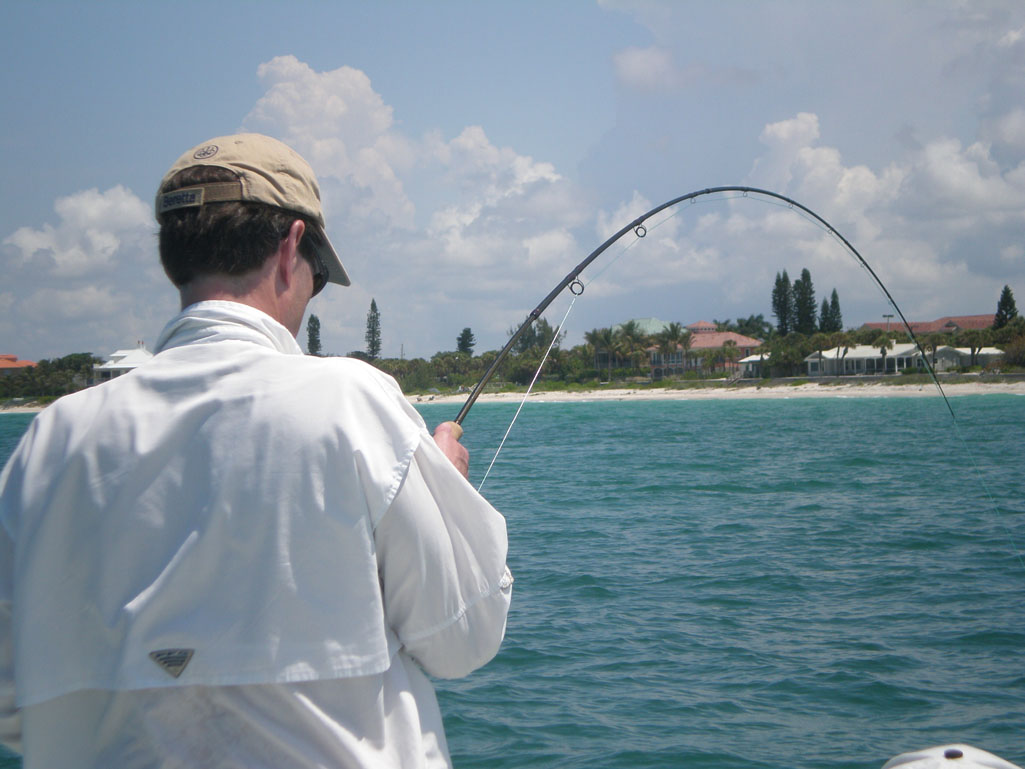 fishing in Sarasota