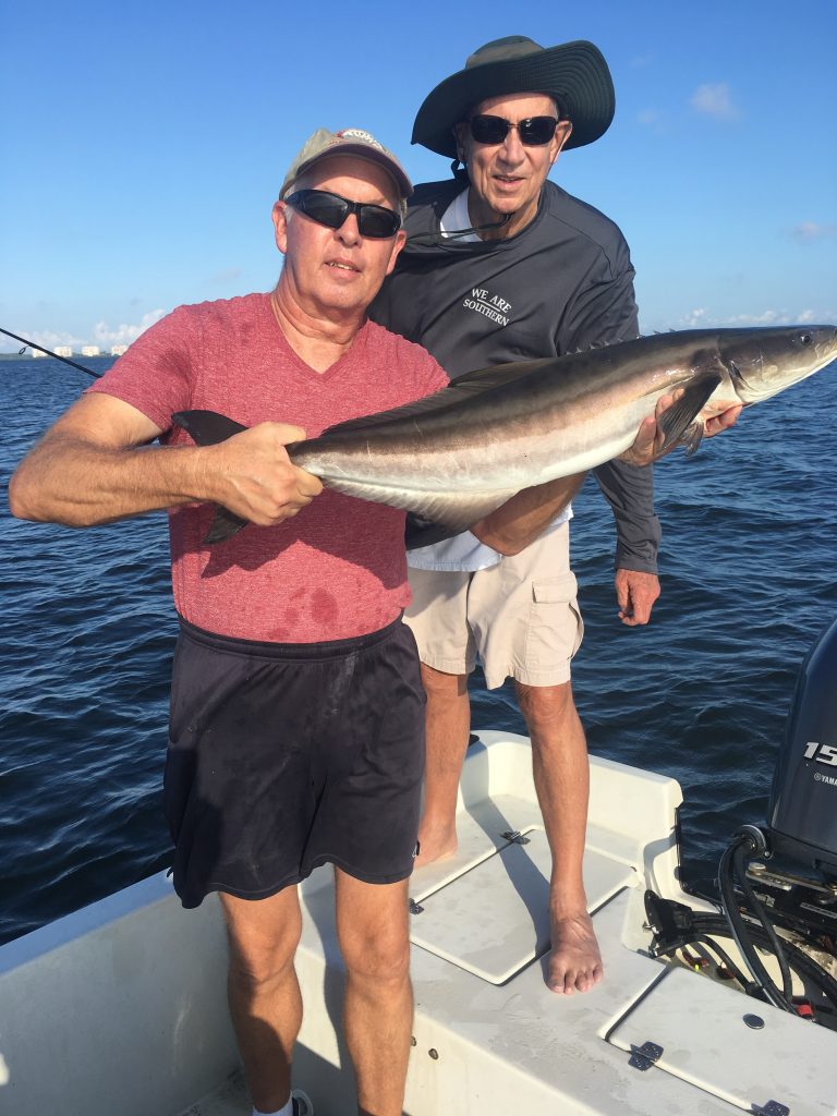 cobia fishing tackle