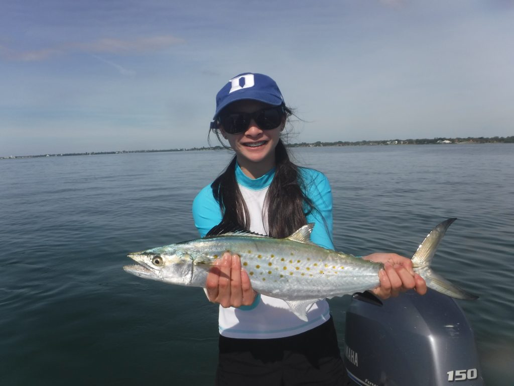 How To Catch Spanish Mackerel (Plus Free PDF Catch Card)