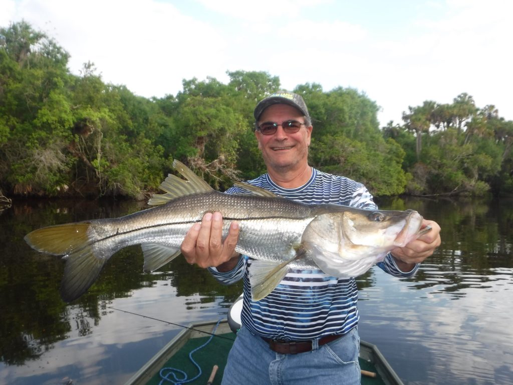 Monster Snook on artificial bait, Florida