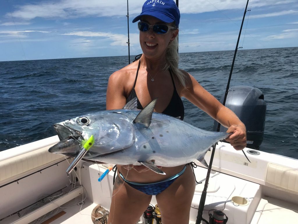 Siesta Key false albacore