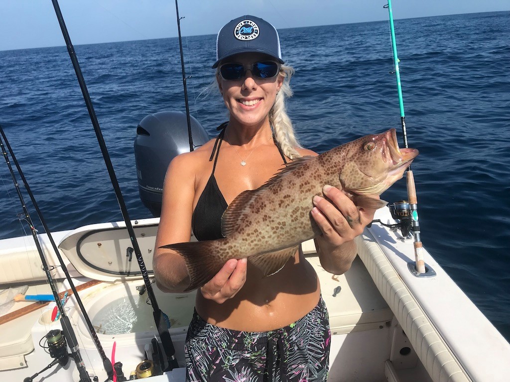 scamp grouper on Siesta Key