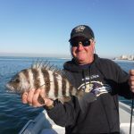 How to Catch More Sheepshead – Pro tips!