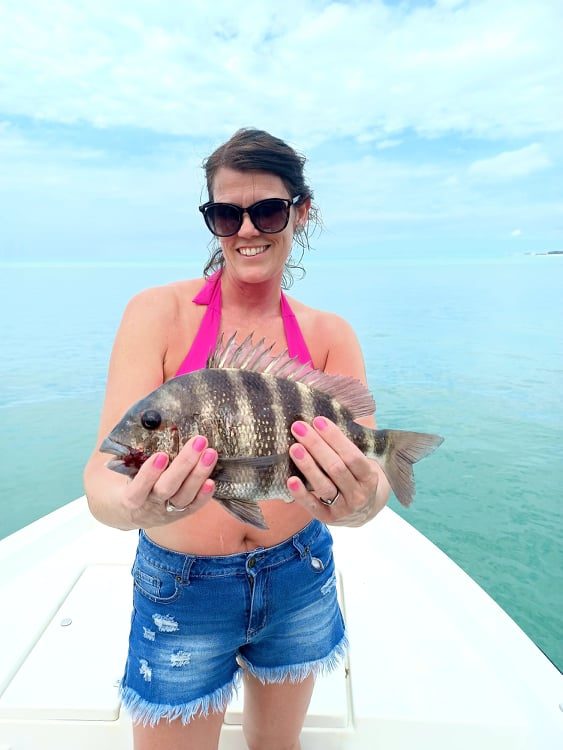 Sheephead  Reel Florida Fishing Charters