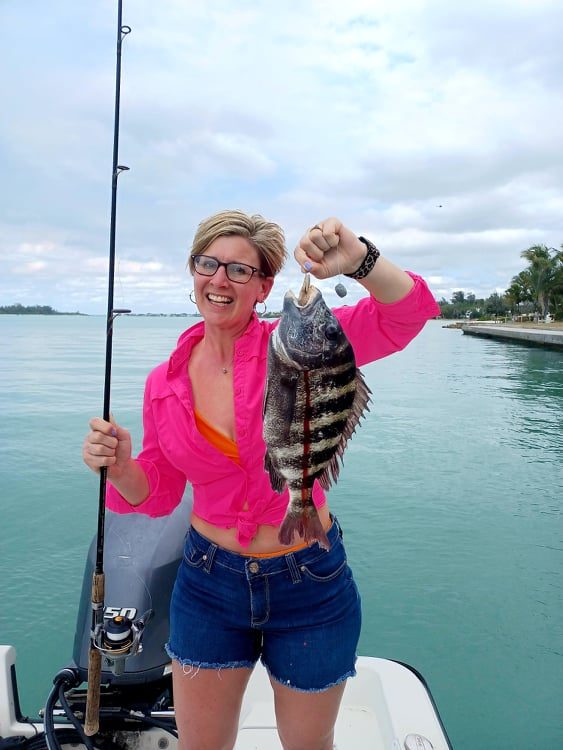 How To Catch Sheepshead In Residential Canals (Using Artificial Lures)