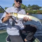 How to Catch Ladyfish – an Underrated Game Fish!
