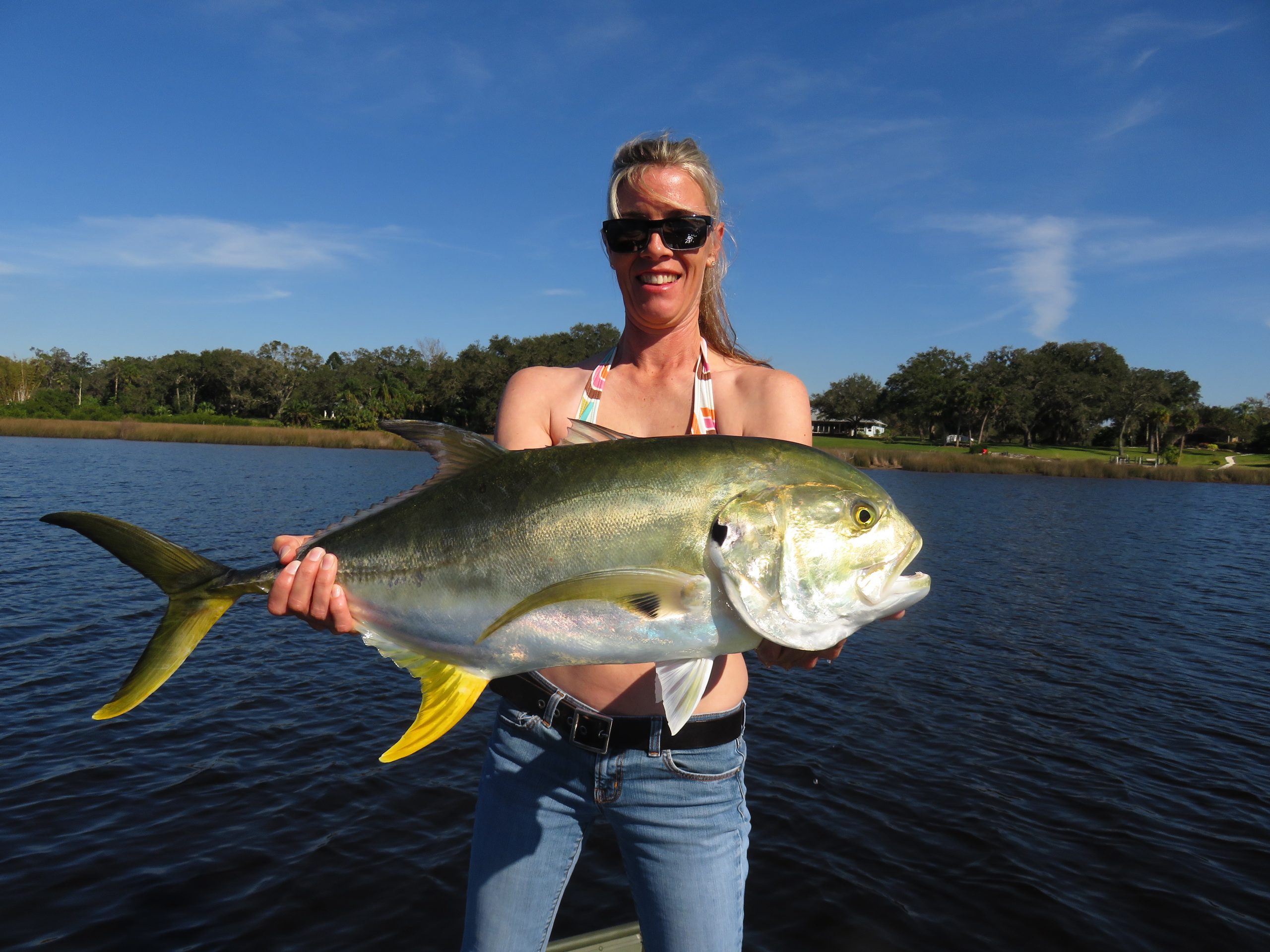 How to Catch Jack Crevalle – Tips from a Florida Guide! – Siesta