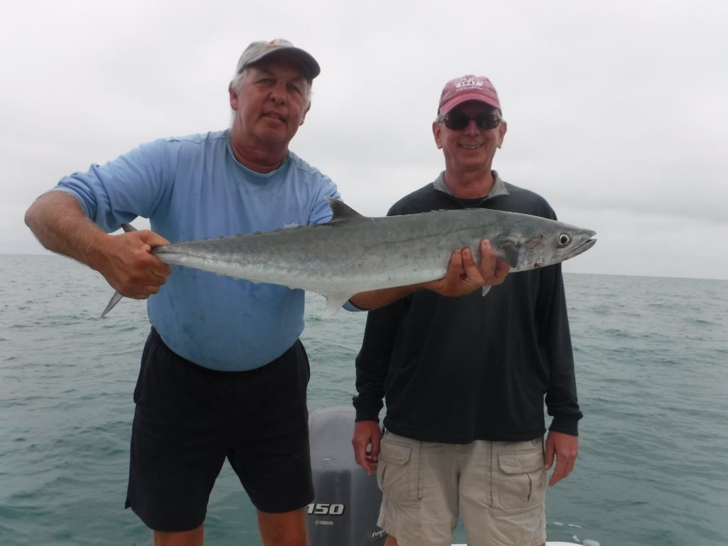 how to catch king mackerel