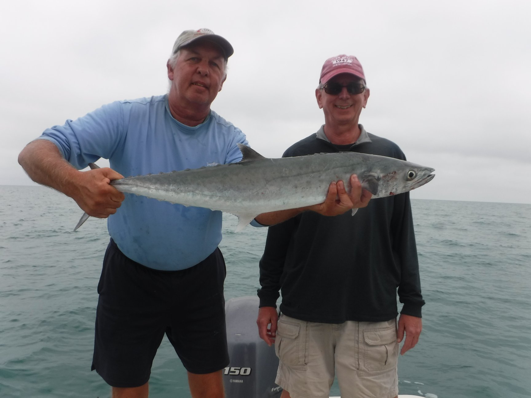 How to Catch King Mackerel – Pro Tips! – Siesta Key Fishing Charters