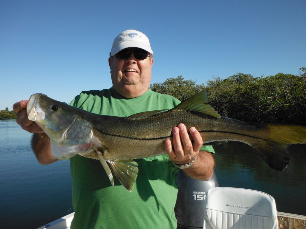 Sarasota Bay fishing charters