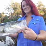 Best Snook Lures for Florida Fishing
