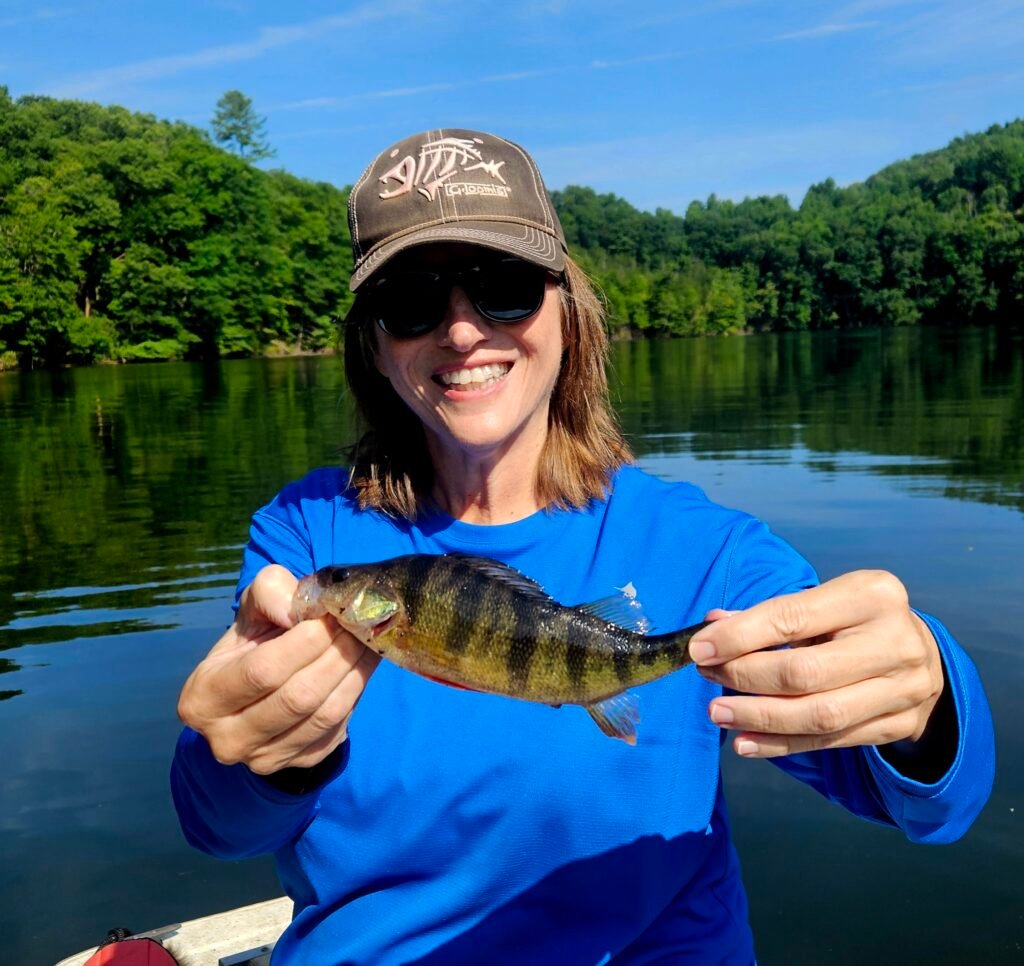 Franklin NC yellow perch