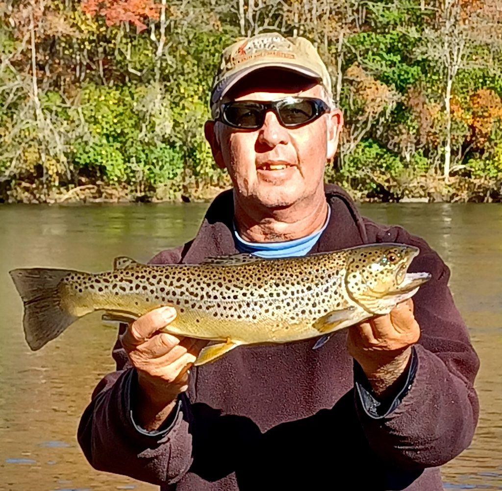 Franklin North Carolina brown trout