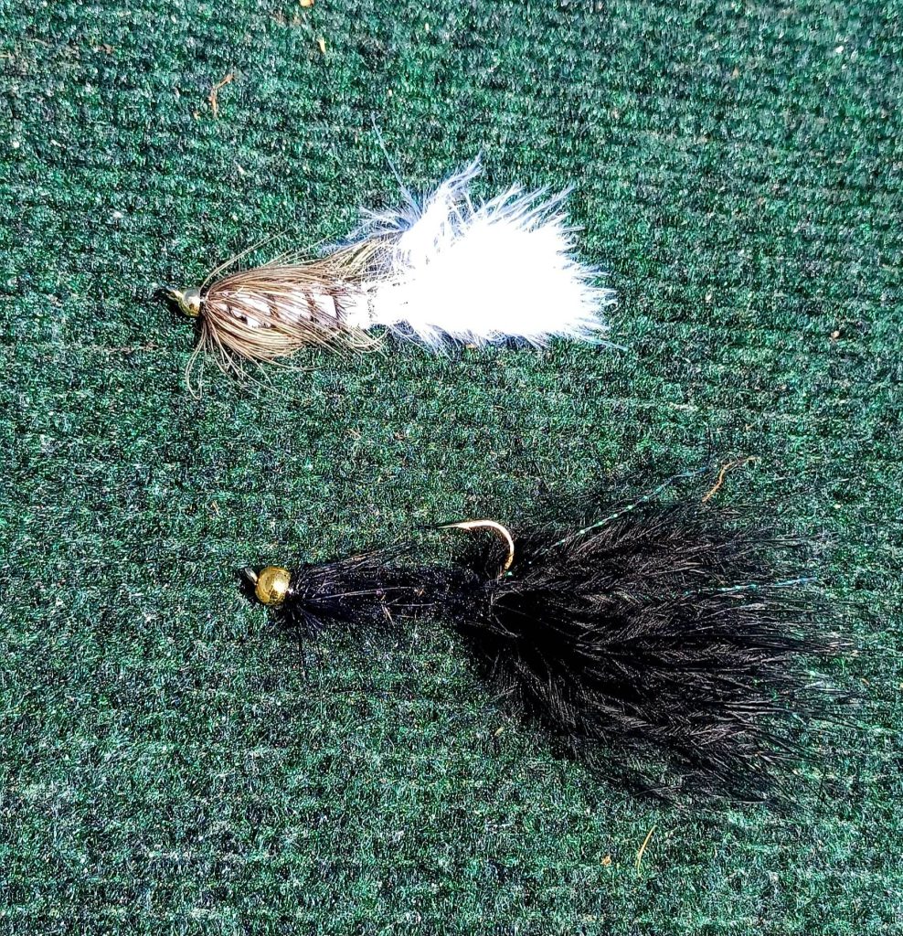 wooly bugger