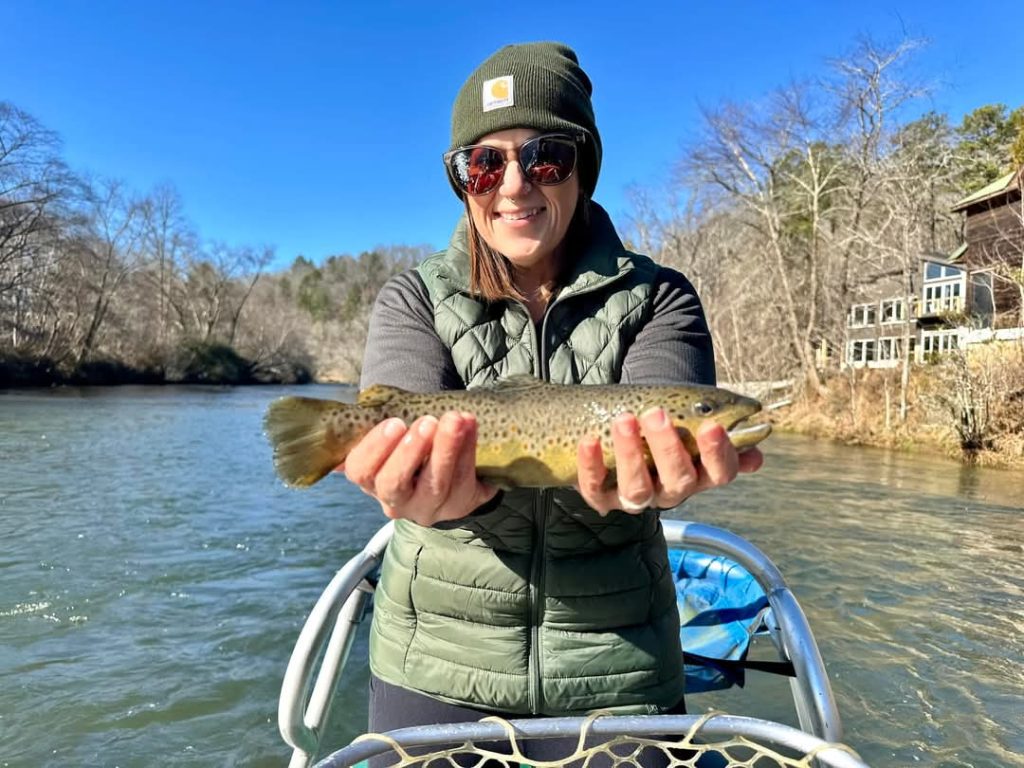 Tuckasegee River brown trout