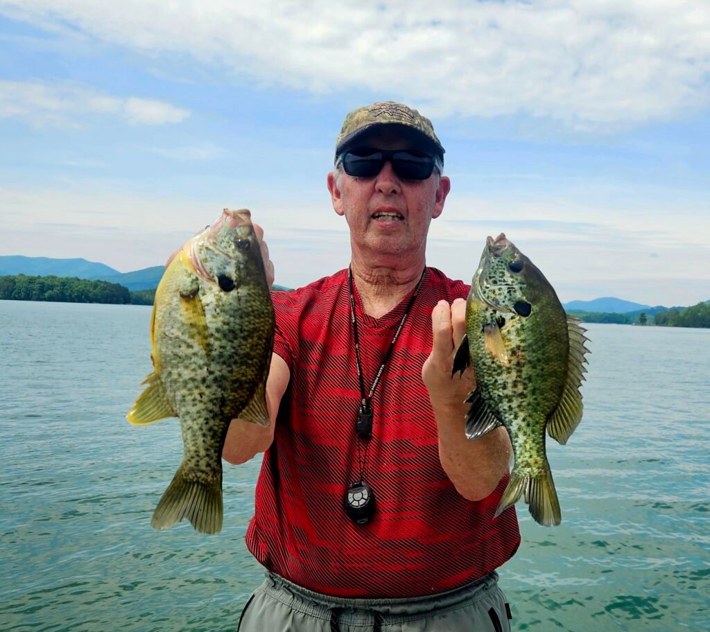 North Carolina shellcracker aka redear sunfish