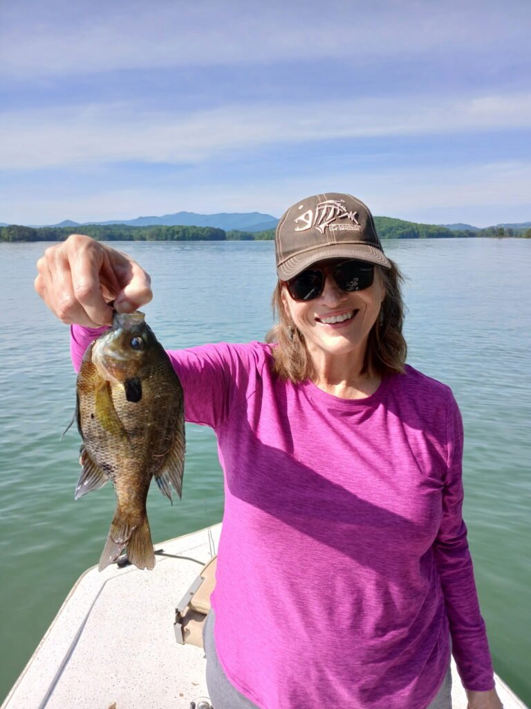 North Carolina bream